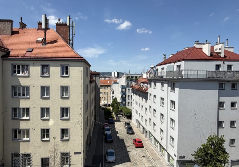 Top 13 Ausblick