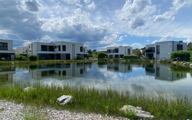 Teichansicht Teichansicht