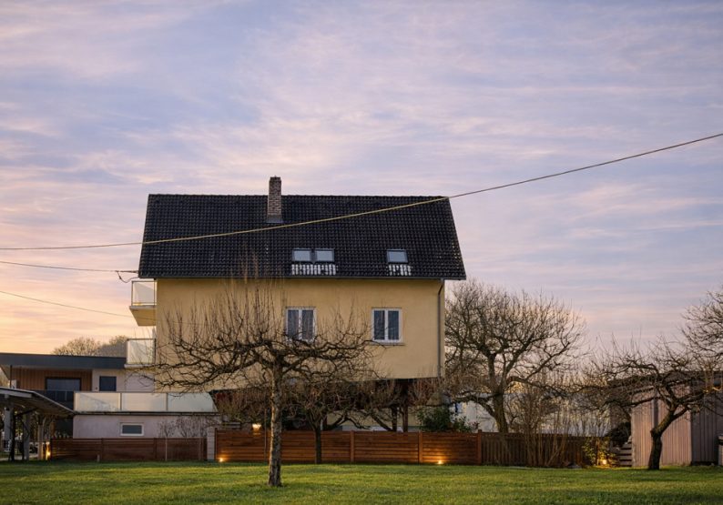 Seitenansicht_Rasen