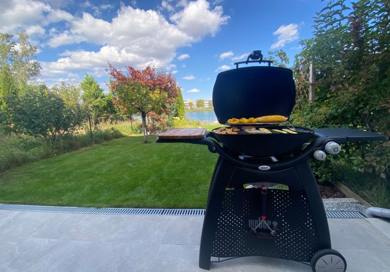 Griller_quer