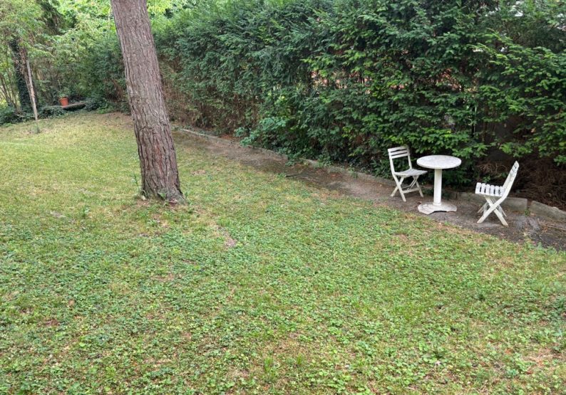 Allgemeingarten