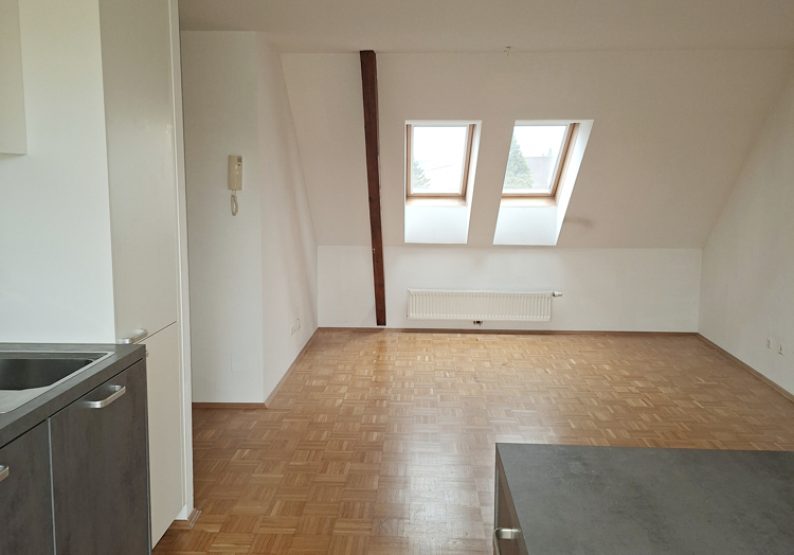 Küche u. Wohnzimmer