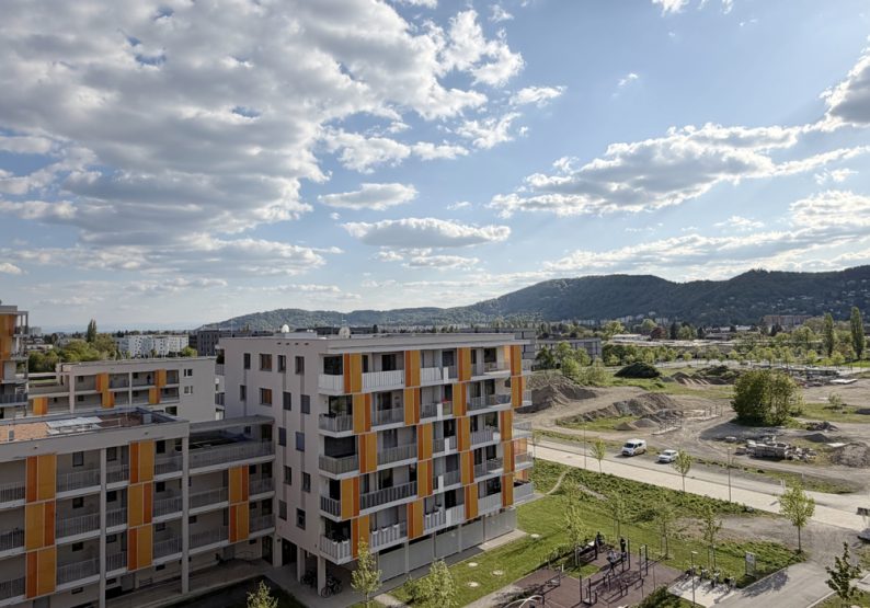 Fernblick2